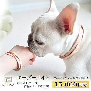 yӂ邳Ɣ[ŁzICHINICOICVbv dČ15,000~ybg {v  V_[[h qD`[J[  L I[_[Ch qD O  C`jR kCӂ邳