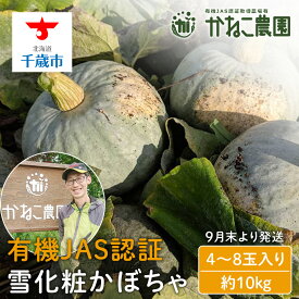【ふるさと納税】有機雪化粧かぼちゃ 4〜8玉入り（約10kg）【かねこ農園】【2026年9月末より発送】北海道ふるさと納税 野菜 南瓜 有機栽培 有機野菜 JAS認定圃場 北海道 【北海道千歳市】