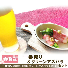 【ふるさと納税】 2026年春発送 キリン一番搾り 500ml12缶＆グリーンアスパラ1.2kg 北海道千歳産 野菜 ビール アスパラガス アスパラ 5月中旬〜6月中旬にかけて順次発送 北海道ふるさと納税 千歳市 ふるさと納税【北海道千歳市】ギフト 麒麟 KIRIN