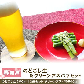 【ふるさと納税】 2026年春発送 キリンのどごし生 350ml12缶＆グリーンアスパラ500g 北海道千歳産 野菜 ビール アスパラガス アスパラ 5月中旬〜6月中旬にかけて順次発送 北海道ふるさと納税 千歳市 ふるさと納税【北海道千歳市】ギフト 麒麟 KIRIN