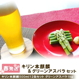 【ふるさと納税】 2026年春発送 キリン本麒麟 500ml12缶＆グリーンアスパラ1kg 北海道千歳産 野菜 ビール アスパラガス アスパラ 5月中旬〜6月中旬にかけて順次発送 北海道ふるさと納税 千歳市 ふるさと納税【北海道千歳市】ギフト ふるさと納税 KIRIN