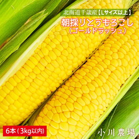 【ふるさと納税】2026年発送予約☆北海道千歳産【Lサイズ以上】朝採りとうもろこし（ゴールドラッシュ）6本 3kg以内【小川農場】 野菜 とうもろこし ゴールドラッシュ トウモロコシ【北海道千歳市】ギフト ふるさと納税