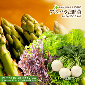 【ふるさと納税】2026年春発送 アスパラ1kgと野菜 おまかせ 詰め合わせセット【土居ファーム】 野菜 アスパラ アスパラガス グリーンアスパラ レタス キャベツ カブ ハーブ セット【北海道千歳市】ギフト ふるさと納税