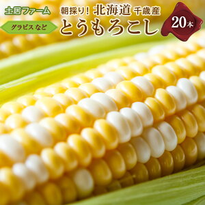 yӂ邳Ɣ[Łz 2026NĔ Ƃ낱 20{Zbgyyt@[z  Ƃ낱ykCΎszMtg ӂ邳Ɣ[