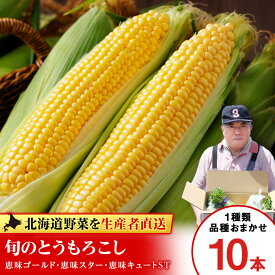 【ふるさと納税】 2026年夏発送 とうもろこし 10本セット（ゴールドラッシュ等）【土居ファーム】 野菜 とうもろこし【北海道千歳市】ギフト ふるさと納税