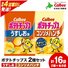 【ふるさと納税】カルビーポテトチップス 2種セット うすしお・コンソメパンチ 各8袋 《北海道工場製造》 スナック お菓子 北海道 千歳 ポテチ ポテトチップス 北海道ふるさと納税 千歳市 ふるさと納税【北海道千歳市】 ギフト ふるさと納税