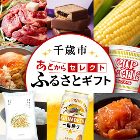 【ふるさと納税】あとからセレクト 【ふるさとギフト】《3,000〜2,000,000円》千歳市 ふるさと納税 北海道ふるさと納税 ギフトポイント ギフトコード ギフト交換