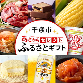 【ふるさと納税】あとからセレクト 【ふるさとギフト】《1,000～1,000,000円》千歳市 ふるさと納税 北海道ふるさと納税 ギフトポイント ギフトコード ギフト交換