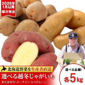【ふるさと納税】【2026年発送】越冬じゃがいも 5kg 選べる品種 レッドムーン・メイクイーン・きたあかり《 土居ファーム 》 やさい いも 芋 メークイン キタアカリ じゃがいも 越冬 野菜 千歳 北海道【北海道千歳市】ギフト ふるさと納税