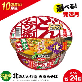 【ふるさと納税】 日清 北のどん兵衛 天ぷらそば 北海道仕様 選べる12個・24個 そば インスタントラーメン麺 即席麺 麺類 ラーメン カップ麺 インスタント 麺類 カップラーメン 【北海道千歳市】ギフト ふるさと納税