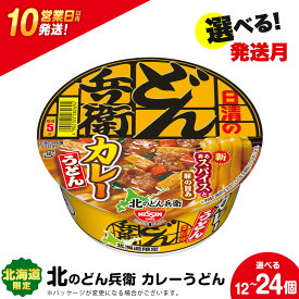 【ふるさと納税】日清 北のどん兵衛 カレーうどん 北海道仕様 選べる12個・24個 うどん インスタントラーメン麺 即席麺 麺類 ラーメン カップ麺 インスタント 麺類 カップラーメン 【北海道千歳市】ギフト ふるさと納税