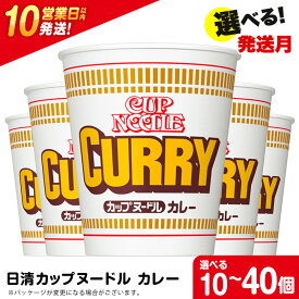 【ふるさと納税】 日清★カレーヌ−ドル★ 選べる10食～40食 1箱（20食入） 麺類 ラーメンラーメン麺 即席麺 麺類 ラーメン カップ麺 インスタント 麺類 カップラーメン 【北海道千歳市】ギフト ふるさと納税