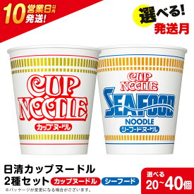 【ふるさと納税】 日清ヌードル2種セット カップヌードル・シーフードヌードル 選べる各10食・各20食入 合計20食・40食 麺類 ラーメン麺 即席麺 麺類 ラーメン カップ麺 インスタント 麺類 カップラーメン 【北海道千歳市】ギフト ふるさと納税