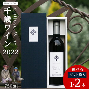 �y�ӂ邳�Ɣ[�Łz��΃��C��2022�iChitose Wine�j750ml �I�ׂ�1�{�E2�{�� �M�t�g�� �� ���@���C�� �� ���� �M�t�g ��� �k�C�� 2021�t�B�[���h���C�� ���C�� �ԃ��C�� �� ��΃��C�� �k�C���ӂ邳��