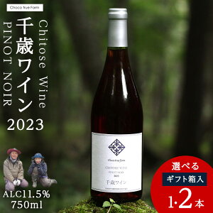 �y�ӂ邳�Ɣ[�Łz��΃��C�� �s�m�m���[�� 2023 �iChitose Wine PINOT NOIR2023�j750ml �I�ׂ�1�{�E2�{ ���M�t�g���Ή��� ���C�� �� ���� �M�t�g�t�B�[���h���C�� ���C�� �ԃ��C�� �� �k�C���ӂ邳�Ɣ[