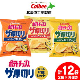 【ふるさと納税】ポテトチップス ザ厚切りのための 内容が選べる 2種セット (1セット計12袋) うすしお のりしお コンソメ スナック お菓子 北海道 千歳 ポテチ ポテトチップス 北海道ふるさと納税 千歳市 ふるさと納税【北海道千歳市】 ギフト ふるさと納税