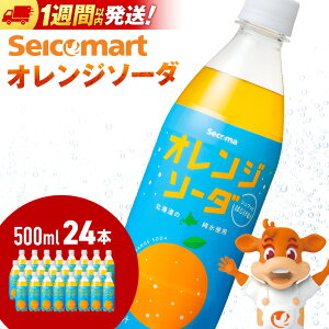 yӂ邳Ɣ[ŁzZR} IW\[_ 500ml 24{ 1P[X kC ΐ Ԍ  Y_ ybg{g ZCR[}[g\tghN Y_ ZR}  Y_ykCΎsz