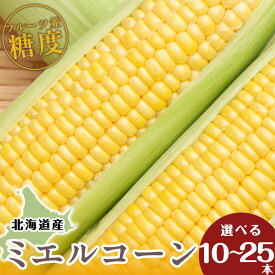 【ふるさと納税】【先行予約】北海道 千歳産 とうもろこし 選べる10本～25本 1本430g以上 ミエルコーン 野菜 トウモロコシ 甘い 旬 夏 BBQ ＜ふぁーむあんざわ＞ 【北海道千歳市】ギフト ふるさと納税