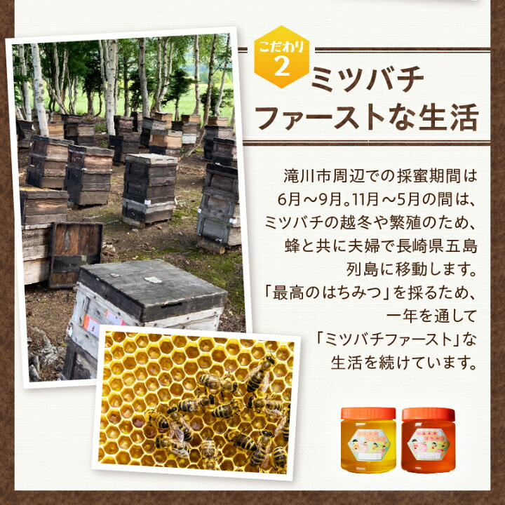 楽天市場】【ふるさと納税】2024年新蜜【北海道滝川産】高見養蜂場の  