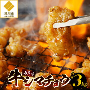 yӂ邳Ɣ[Łz V}`E300g×10܁bz zĂ ē BBQ o[xL[ t ݂ 300g×10 3kg Mtg 蕨 kC s