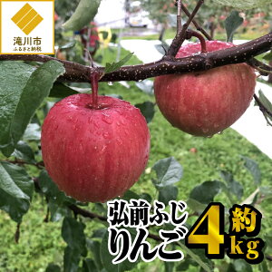 yӂ邳Ɣ[Łzyߘa7No׎tzOOӂ 4kg |st ʌ  ь kC t[c