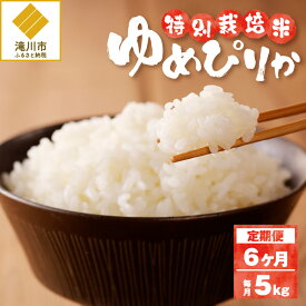 【ふるさと納税】《令和7年産》特別栽培米ゆめぴりか 5kg×6ヵ月定期便 | 16年連続特A ブランド米 白米 精米 米 お米 こめ 減農薬 単一原料米 ご飯 北海道米 北海道 滝川市