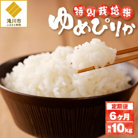 【ふるさと納税】《令和7年産》特別栽培米ゆめぴりか 10kg×6ヵ月定期便 | 16年連続特A ブランド米 白米 精米 米 お米 こめ 減農薬 単一原料米 ご飯 北海道米 北海道 滝川市