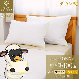 【ふるさと納税】5つ星高級ホテル多数採用 国内ホテルシェア70% 国産 ダウン枕｜選べる サイズ 中 大 発送時期 枕カバー付き 羽毛 枕 まくら ホテル仕様 綿100% 快眠 受注生産 日本製 抗菌防臭 リピーター多数 ギフト 滝川市