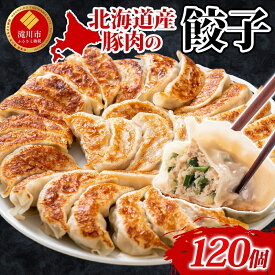 【ふるさと納税】【大容量】北海道産豚肉のぎょうざ 120個!冷凍餃子 ギョーザ 国産 焼餃子 点心 滝川市 冷凍食品