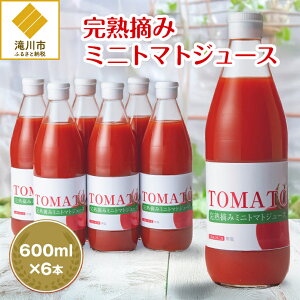 yӂ邳Ɣ[ŁznE݃~jg}gW[X600ml 6{Zbg kC Y  100% Ƃ܂ 
