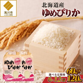【ふるさと納税】《令和7年産》ゆめぴりか10kg【定期便】｜特A 白米 ブランド米 米 こめ コメ お米 ご飯 ごはん 単一米 滝川市 北海道 北海道産 道産 北海道米 生活応援 送料無料 おすすめ 人気 お弁当 贈答 6回 12回