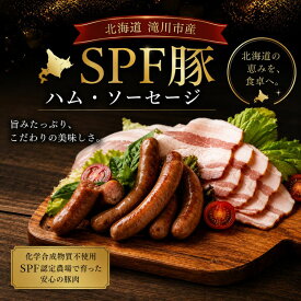 【ふるさと納税】北海道滝川産 SPF豚 ロースハム＆ソーセージセット | 詰め合わせ ブランド豚 豚肉 国産 ウインナー ウィンナー ハム 加工品 天然腸 肉 お肉 ポーク 北海道産 おつまみ 朝食 BBQ バーベキュー ビール キャンプ ギフト 贈答 冷凍