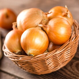 【ふるさと納税】北海道産玉ねぎと男爵じゃがいものセット