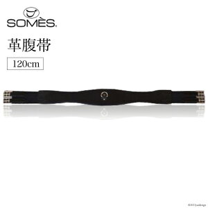 yӂ邳Ɣ[Łz SOMES@Reiz@v(120cm)iubNj r[Ly[