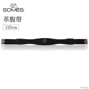 yӂ邳Ɣ[Łz SOMES@Reiz@v(125cm)iubNj r[Ly[