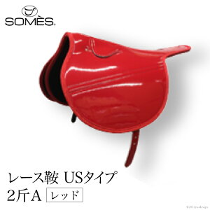 yӂ邳Ɣ[Łz SOMES@[XƁ@US^Cv@2Aibhj r[Ly[
