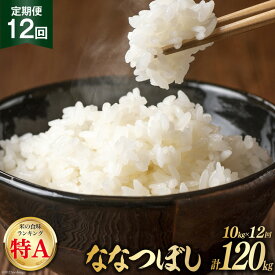 【ふるさと納税】 12回 定期便 JA新すながわ産 ななつぼし 10kg×12回 総計120kg [ホクレン商事 北海道 砂川市 12260802] 定期 お米 コメ 白米 ごはん ご飯 国産 レビューキャンペーン