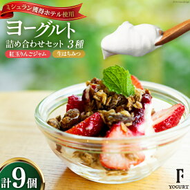 【ふるさと納税】 ヨーグルト 北海道 詰め合わせ ギリシャヨーグルト 紅玉りんごジャム 生はちみつ 3種 計9個 セット [ほんだ菓子司 北海道 砂川市 12260724] スイーツ 菓子 デザート ジャム ハチミツ はちみつ 蜂蜜 レビューキャンペーン