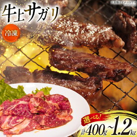 【ふるさと納税】 選べる量 サガリ 牛 上サガリ 200g 2〜6パック 計400g〜1.2kg [焼肉銀座園 北海道 砂川市 12260732] 冷凍 焼肉 焼き肉 牛肉 肉 小分け やきにく レビューキャンペーン