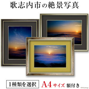yӂ邳Ɣ[Łz ӂ闢̎us̐i A4TCY 1 zt / KNi / kC ̎us [01227aj001]