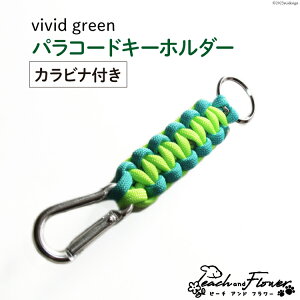 yӂ邳Ɣ[Łz pR[hL[z_[iJritjvivid green jp 1 / s[`Aht[ / kC ̎us [01227ae021] AEghA  
