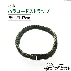 yӂ邳Ɣ[Łz Lp pR[hXgbv ka-ki jp 47cm 1 / s[`Aht[ / kC ̎us [01227ae022]  L UObY [h