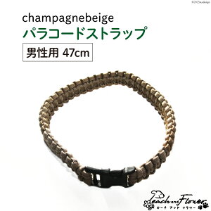 yӂ邳Ɣ[Łz Lp pR[hXgbv champagnebeige jp 47cm 1 / s[`Aht[ / kC ̎us [01227ae023]  L UObY [h