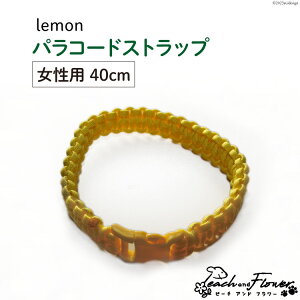 yӂ邳Ɣ[Łz Lp pR[hXgbv lemon p 40cm 1 / s[`Aht[ / kC ̎us [01227ae025]  L UObY [h