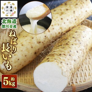 yӂ邳Ɣ[Łzߘa7NY st kC [sY ˂΂蒷 5kg  ₳  [s Yi y2025N11{`11{ \z yVX[p[SALE 9J