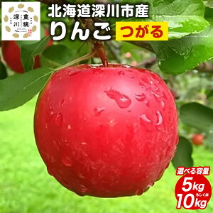 yӂ邳Ɣ[Łzߘa7NY st kCY   5kg  10kg 1 S t[c ʕ [s Yi Yn y2025N9{`10{ \z yVX[p[SALE 9