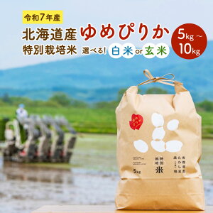 yӂ邳Ɣ[ŁzyIׂ锒āEāEeʁzߘa7NY kCY ʍ͔| ߂҂肩   5kg 10kg    ͂  Pꌴ [sY [Y  kC [s 