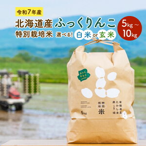 yӂ邳Ɣ[ŁzyIׂ锒āEāEeʁzߘa7NY kCY ʍ͔| ӂ   5kg 10kg    ͂  Pꌴ [sY [Y  kC [s 