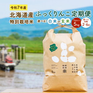 yӂ邳Ɣ[ŁzyIׂցzߘa7NY kCY ʍ͔| ӂ   1񂠂 5kg i2^4^6j    ͂  Pꌴ [sY [Y  k