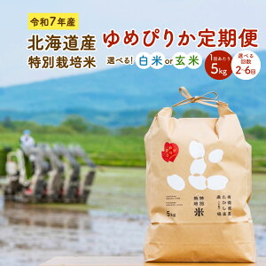 yӂ邳Ɣ[ŁzyIׂցzߘa7NY kCY ʍ͔| ߂҂肩   1񂠂 5kg i2^4^6j    ͂  Pꌴ [sY [Y  kC